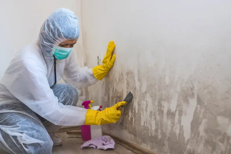 Limpieza y Mantenimiento de Superficies Pintadas CDMX